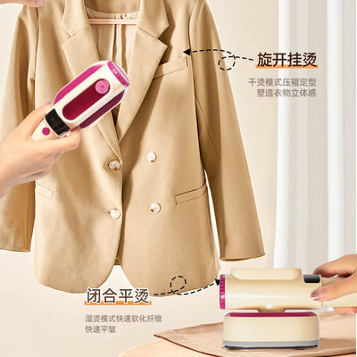 RoHS 및 CE 인증 LM-2303 완벽하게 증기 된 옷을위한 휴대용 옷 증기